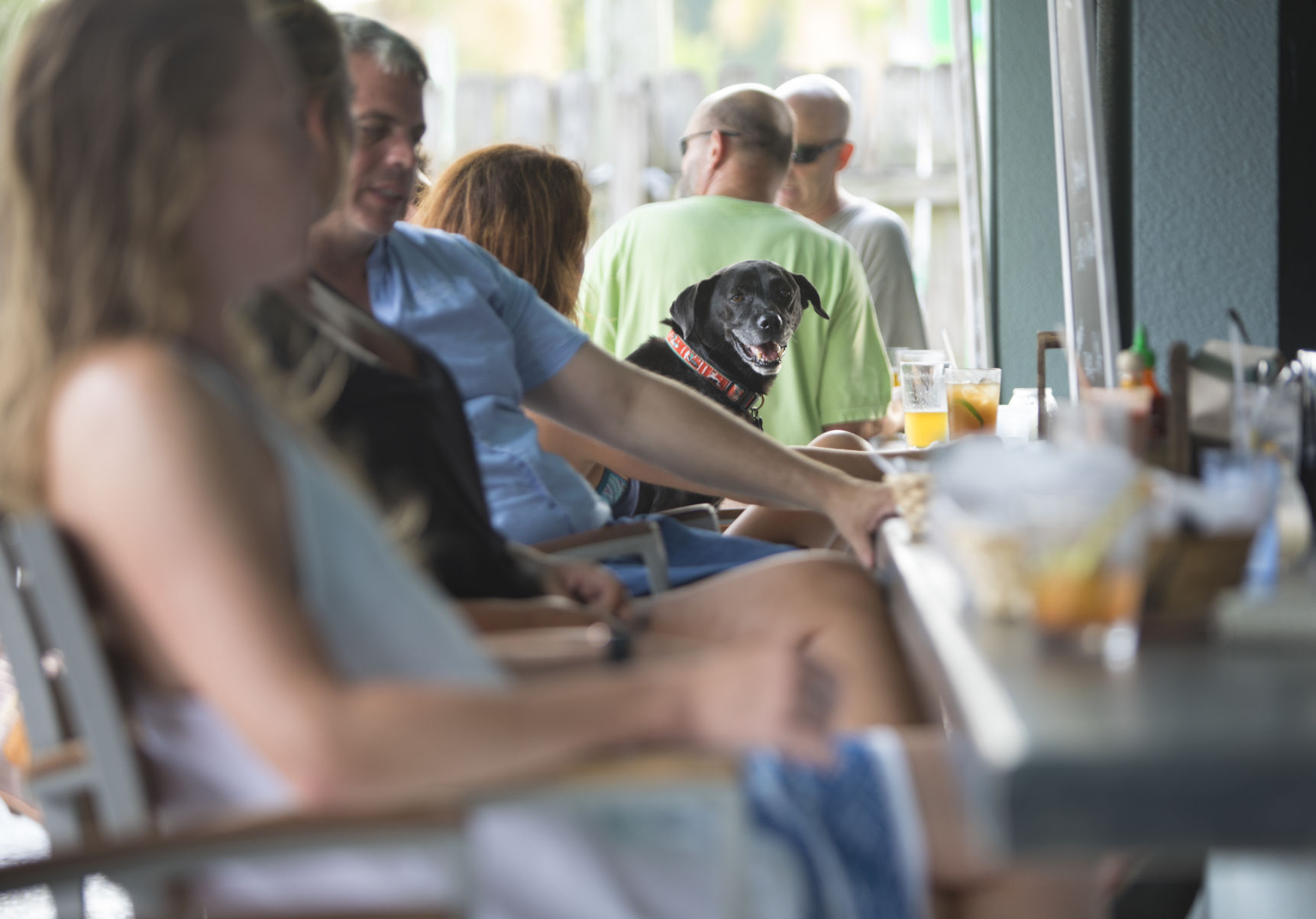 Lowlife Bar Now Open (copy)